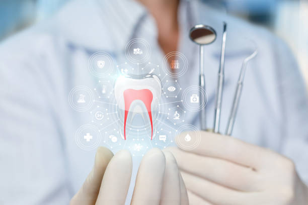 Reliable Longview, WA  Holistic Dental Services Solutions